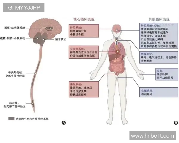 广州篮球队杯赛战术解析与表现评估全面分析